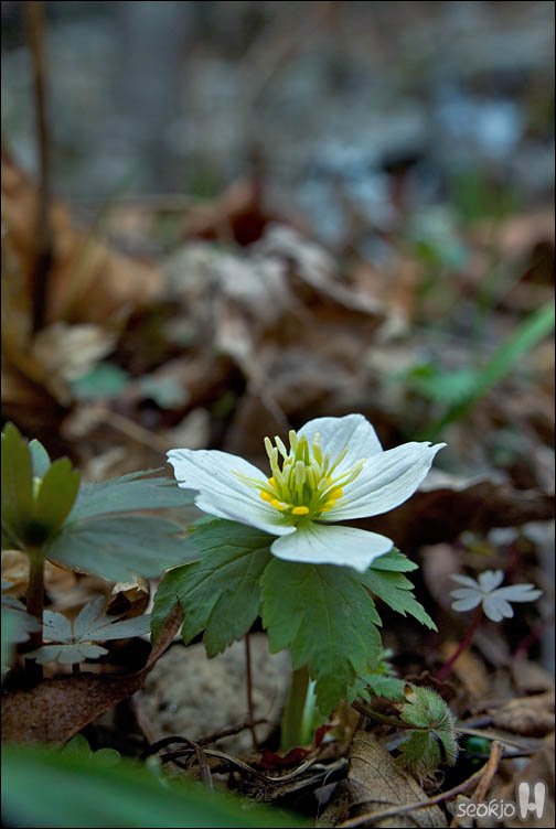 DSCF7101.jpg