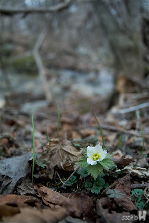 DSCF7159.jpg