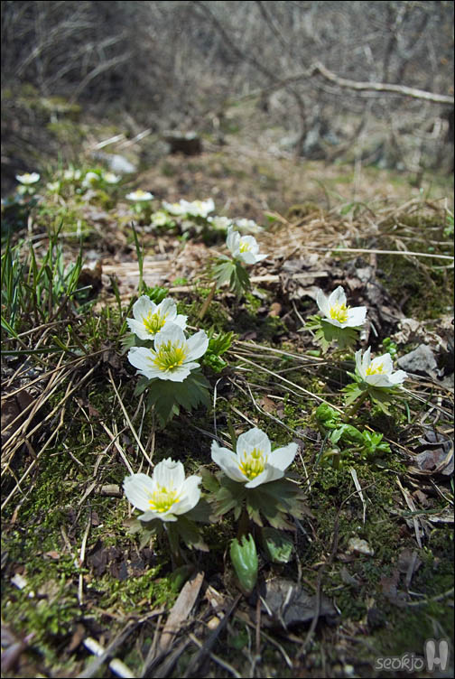 DSCF2535.jpg