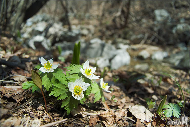 DSCF2546.jpg