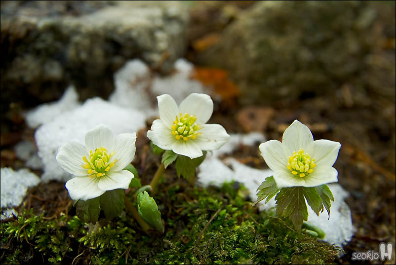 DSCF2919.jpg