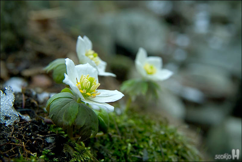 DSCF2921.jpg
