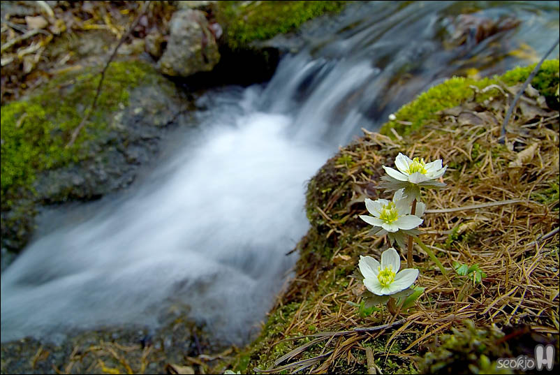 DSCF3165.jpg