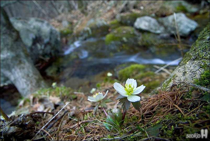 DSCF3167.jpg