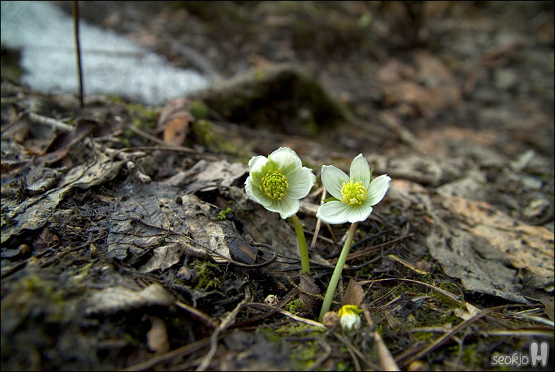 DSCF3196.jpg
