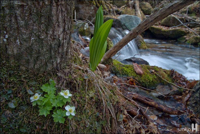 DSCF7542.jpg