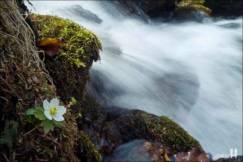 DSCF7533.jpg