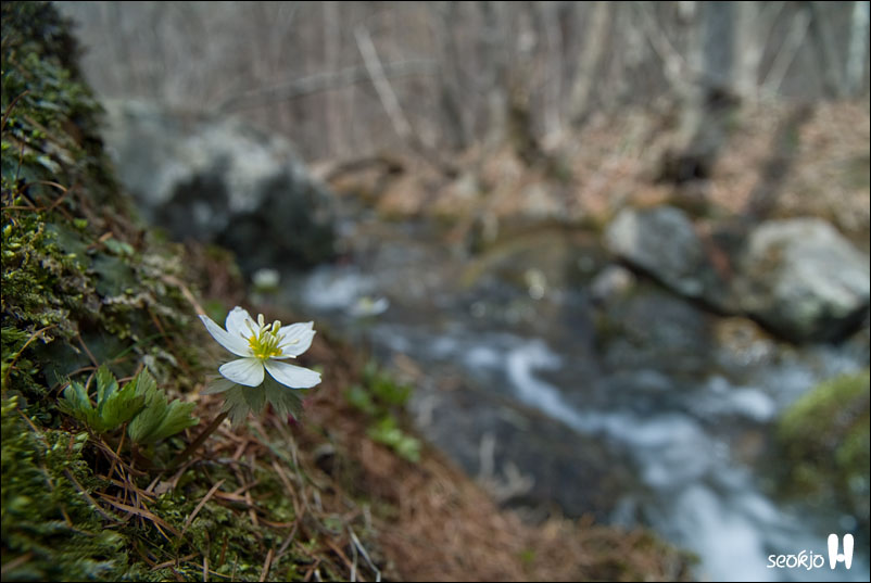 DSCF7580.jpg