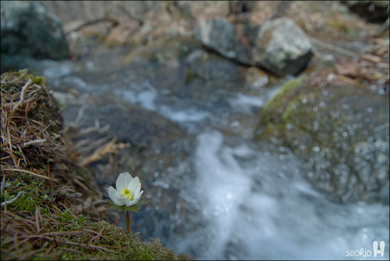 DSCF7583.jpg