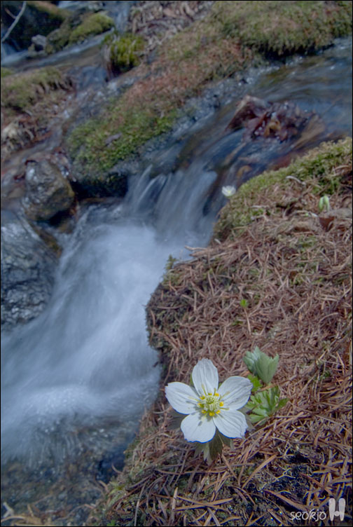 DSCF7559.jpg