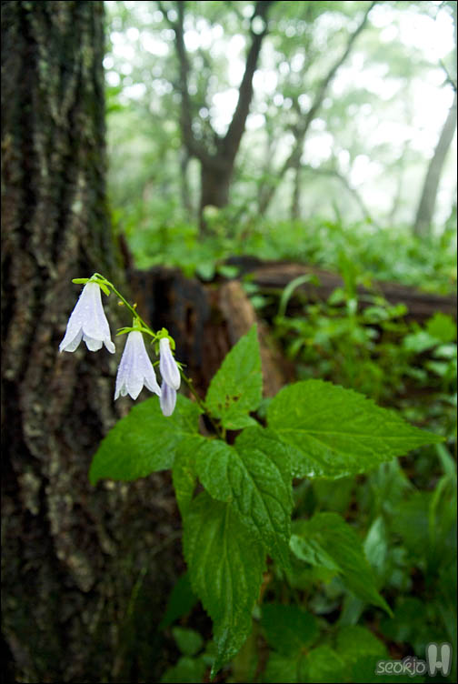 DSCF0377.jpg