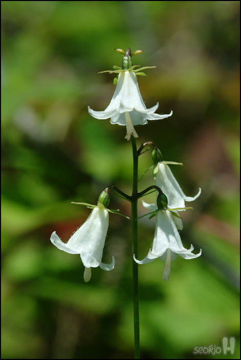 DSCF7806.jpg