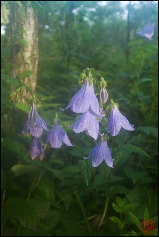 DSCF2565.jpg