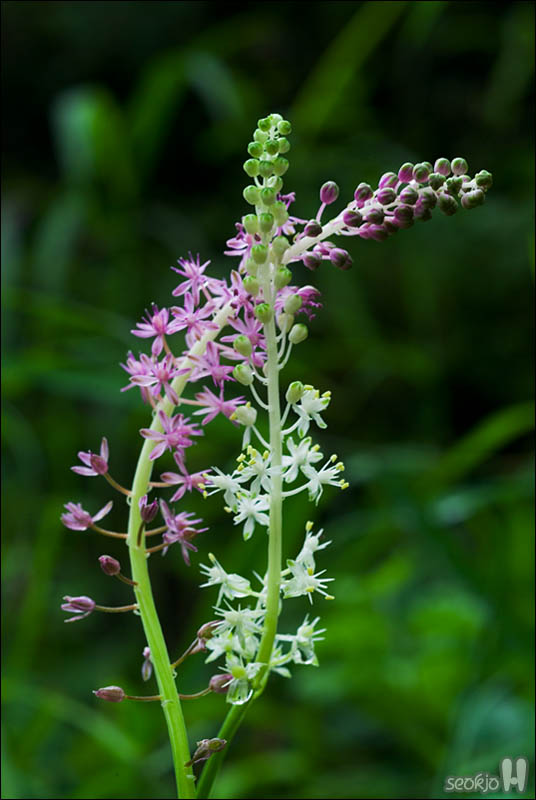 DSCF4696.jpg