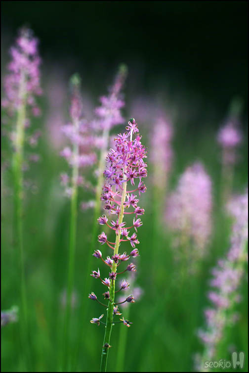 DSCF3270.jpg