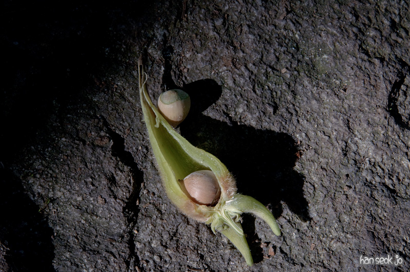DSC_3876.jpg
