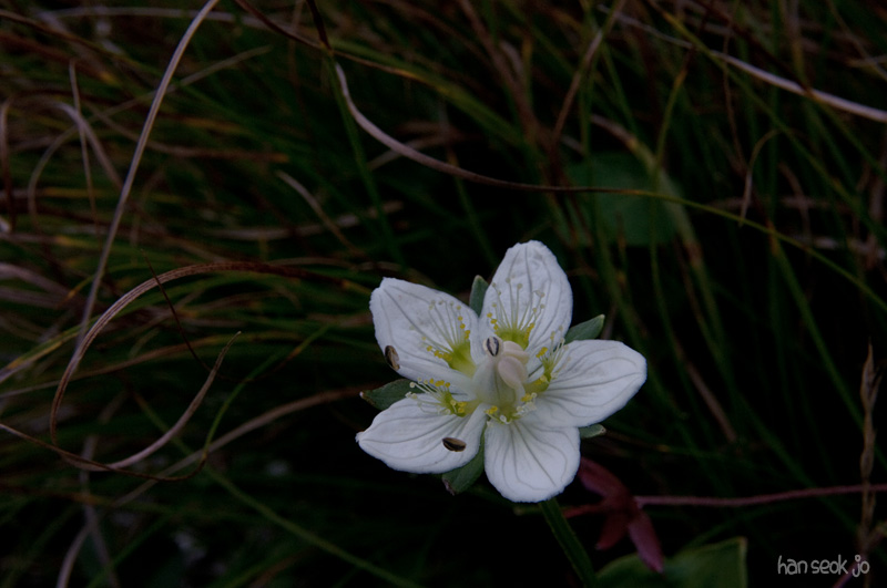 DSC_3447.jpg
