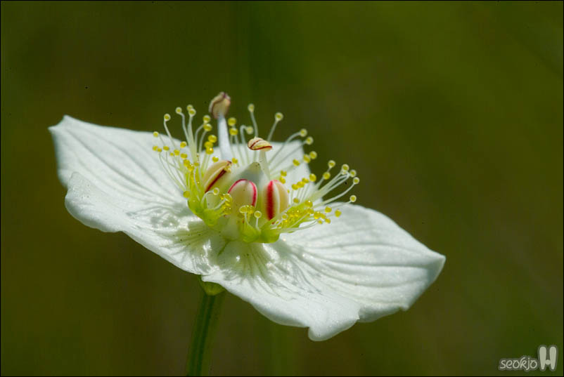 DSCF5801.jpg