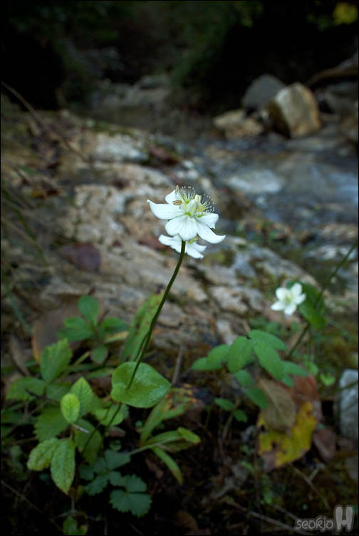 DSCF4056.jpg