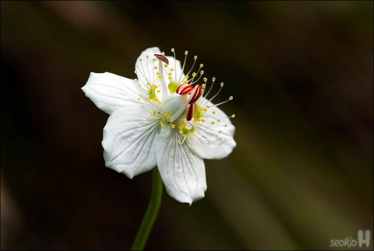 DSCF4068.jpg