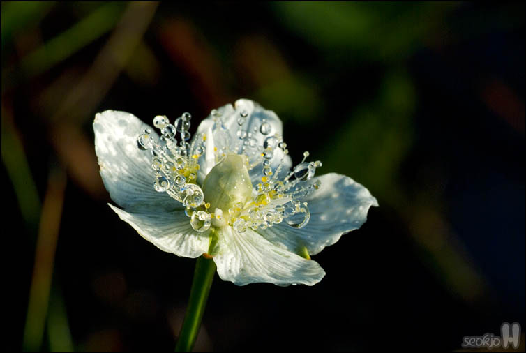 DSCF3816.jpg