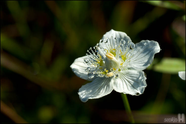 DSCF3834.jpg