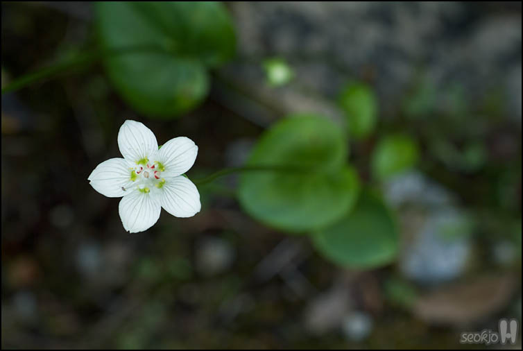DSCF3590.jpg