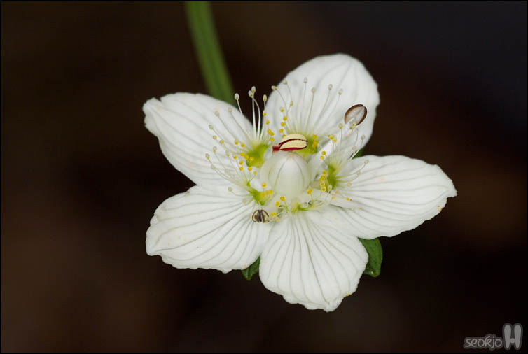 DSCF3593.jpg