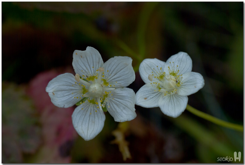 DSCF1415.jpg