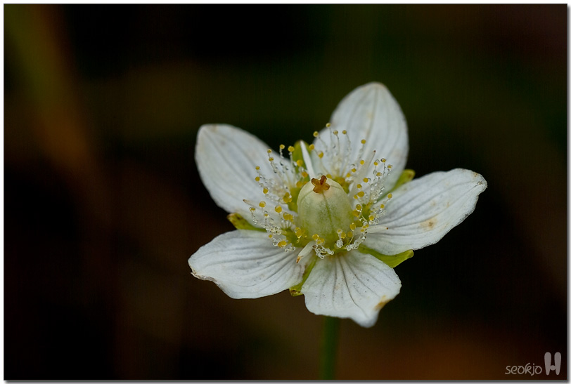 DSCF1417.jpg