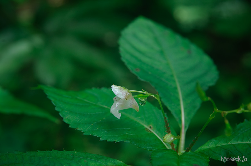 DSC_8312.jpg