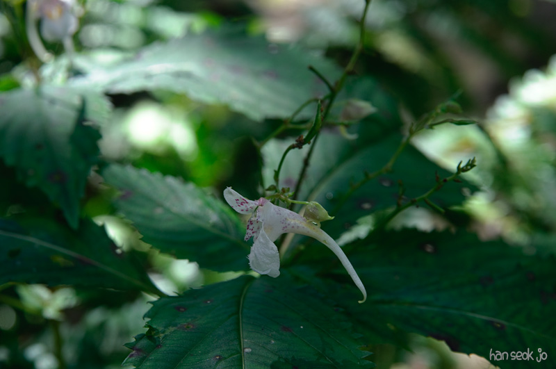 DSC_8314.jpg