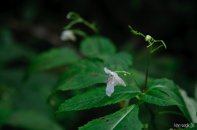 DSC_8317.jpg