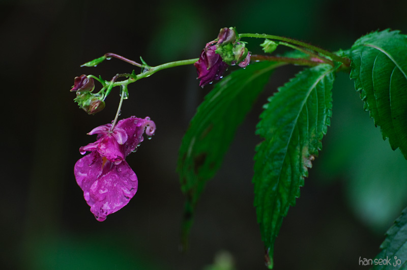 DSC_8356.jpg