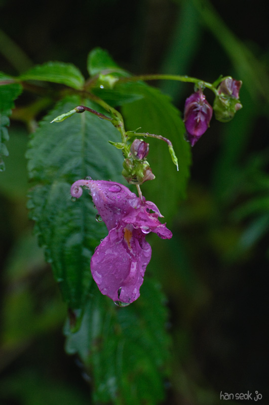 DSC_8363.jpg