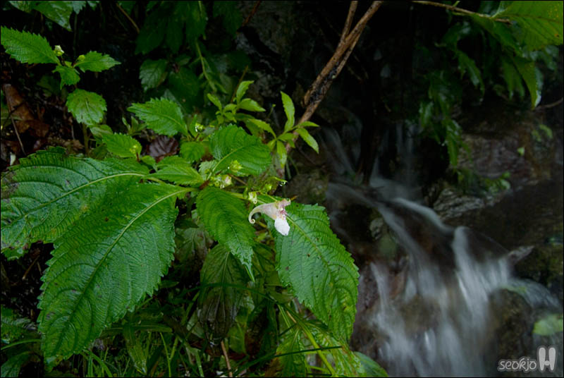 DSCF4895.jpg
