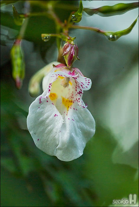 DSCF0517.jpg