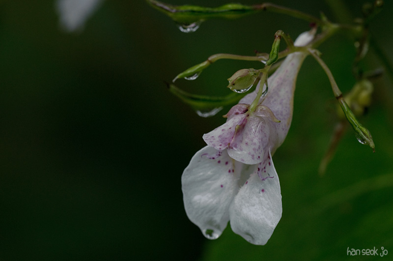 DSC_3546.jpg