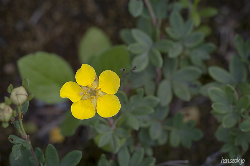 HSJ_6091.jpg