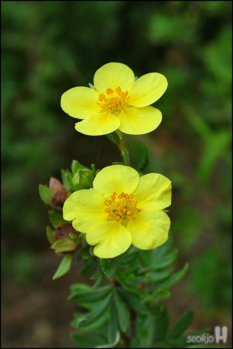 DSCN1667.jpg