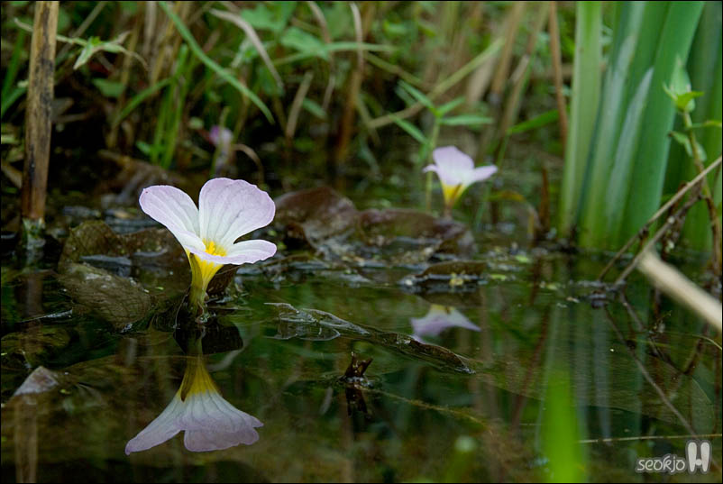 DSCF5165.jpg