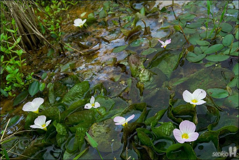 DSCF5168.jpg