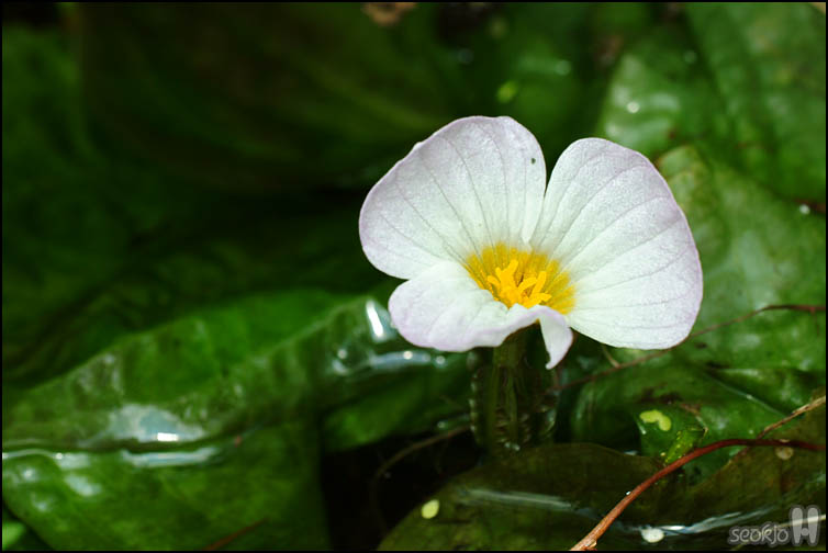 DSCF3494.jpg