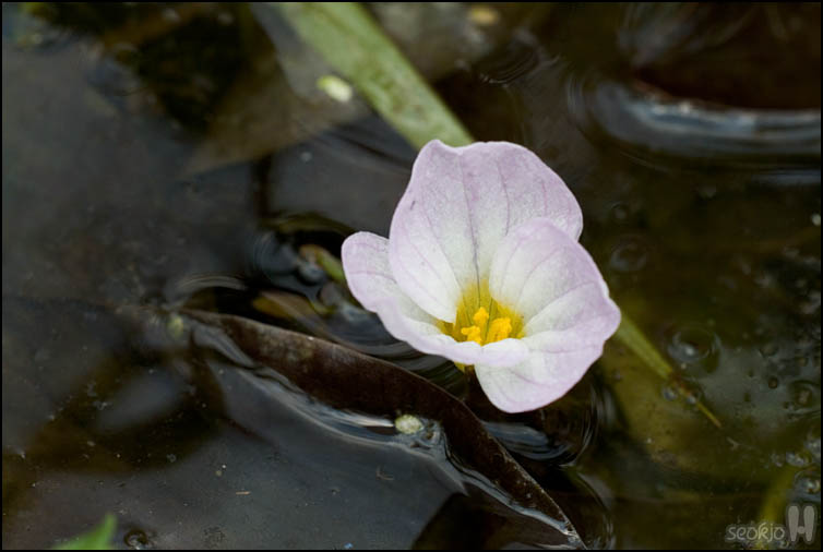 DSCF3060.jpg