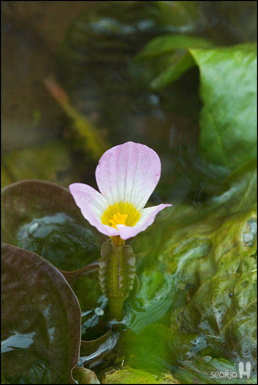 DSCF1479.jpg