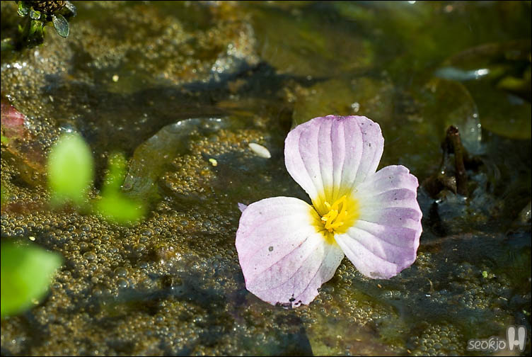 DSCF0955.jpg