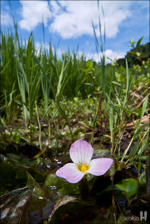 DSCF0980.jpg