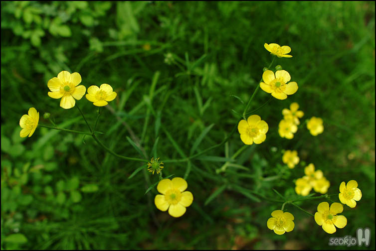 DSCF6660.jpg