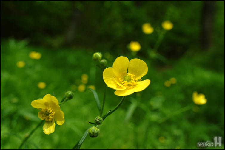 DSCF6663.jpg
