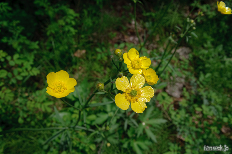 DSC_6064.jpg